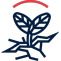 econet